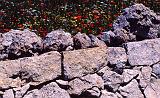 104-Per Pantalica,23 aprile 2000